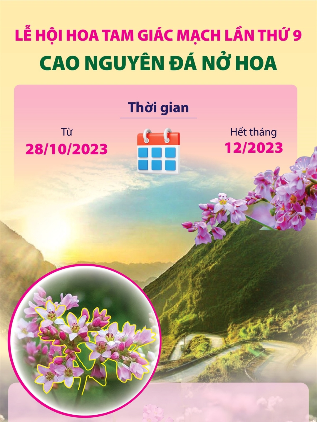 Hà Giang: Lễ hội hoa Tam giác mạch lần thứ 9 Cao nguyên đá nở hoa